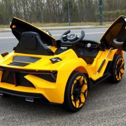 RichmanCar™