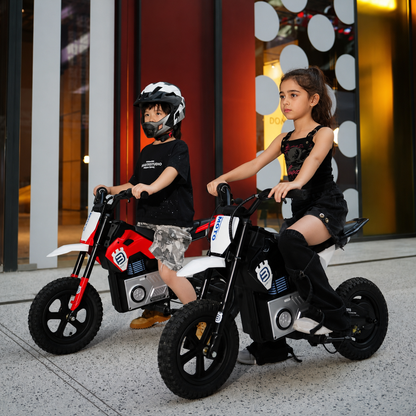 ELECTRIC MOTORSYCLE™