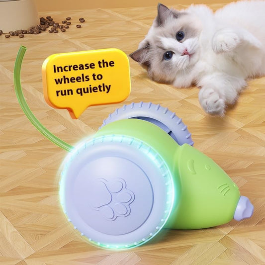 Jerry RAT&CAT™