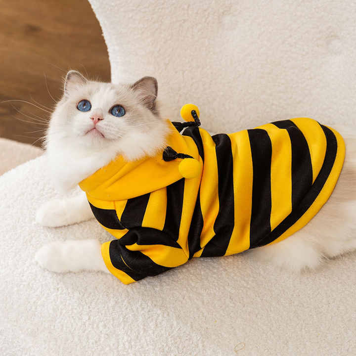 Cute Pet Bee