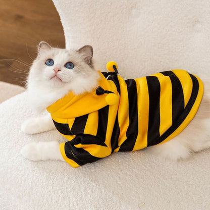 Cute Pet Bee