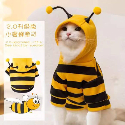 Cute Pet Bee