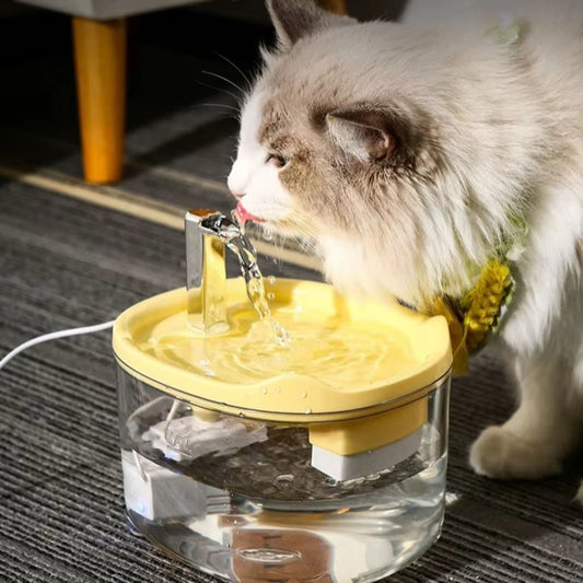 Pet Water Dispenser