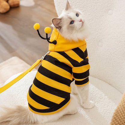 Cute Pet Bee