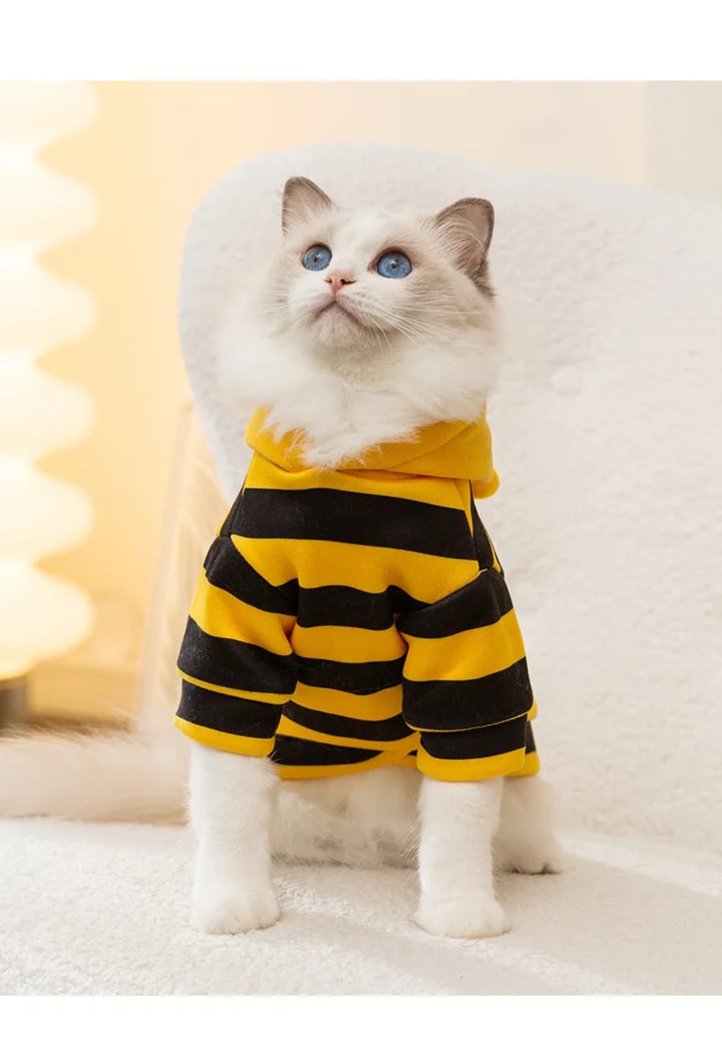 Cute Pet Bee